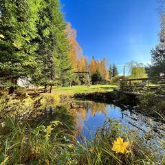 Глэмпинг Балдейкино, Московская область