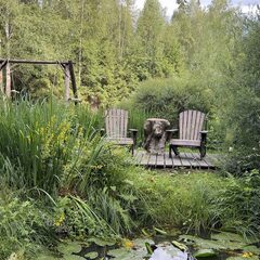 Глэмпинг Балдейкино, Московская область