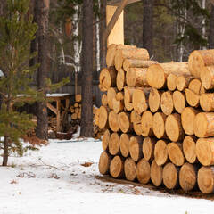Глэмпинг На Чусовой , Свердловская область