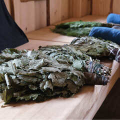 База отдыха Уютные Ёлы, Ленинградская область