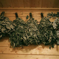 База отдыха Уютные Ёлы, Ленинградская область