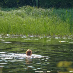 База отдыха Уютные Ёлы, Ленинградская область