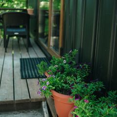 База отдыха Уютные Ёлы, Ленинградская область