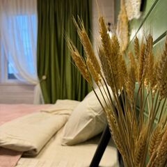 Гостевой дом Эхо Костра, Московская область