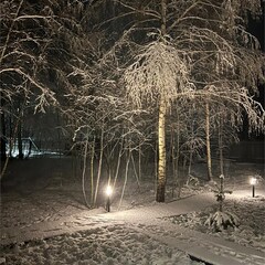 Парк-отель На краю света, Московская область