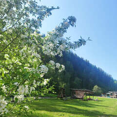 Парк-отель Умайя, Республика Алтай