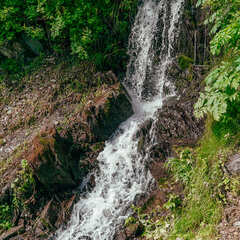 Парк-отель Умайя, Республика Алтай