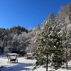 Парк-отель Умайя, Республика Алтай