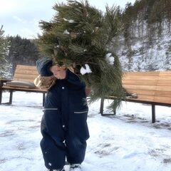 Парк-отель Умайя, Республика Алтай