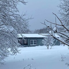 Глэмпинг Рулёвка эко вилладж, Владимирская область