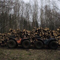 Глэмпинг Рулёвка эко вилладж, Владимирская область