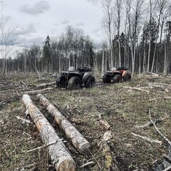 Глэмпинг Рулёвка эко вилладж, Владимирская область