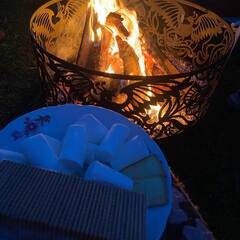 Глэмпинг Рулёвка эко вилладж, Владимирская область