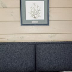 Глэмпинг Рулёвка эко вилладж, Владимирская область