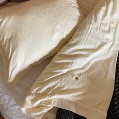 Глэмпинг Рулёвка эко вилладж, Владимирская область