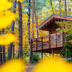 Парк-отель Нарния, Республика Карачаево-Черкесия 