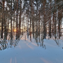 Коттеджный комплекс La Dacha, Московская область