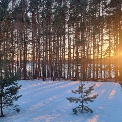 Коттеджный комплекс La Dacha, Московская область