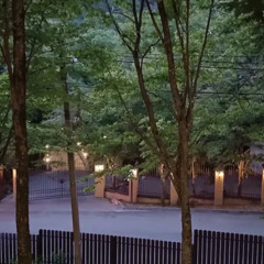 База отдыха Аммонит, Краснодарский край