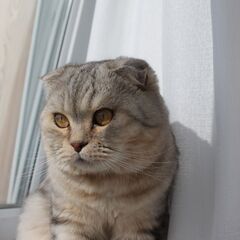 Парк-отель Тутань, Тверская область