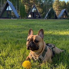 Парк-отель Тутань, Тверская область