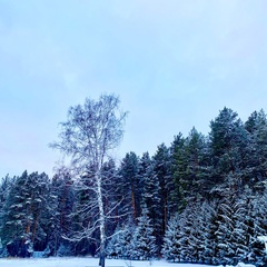 Загородный клуб Все Свои, Свердловская область