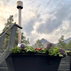 Апарт-отель Альпака, Республика Алтай