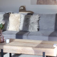 Апарт-отель Альпака, Республика Алтай