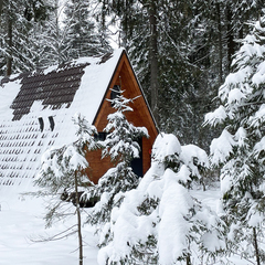 Гостевой дом А-фрейм с баней, Московская область