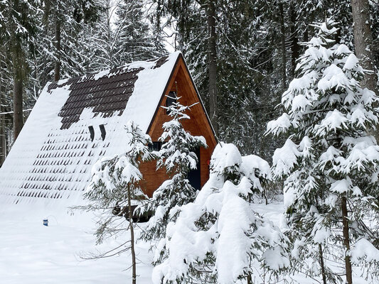 А-фрейм с баней — фото 5