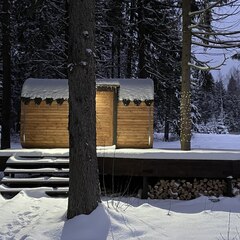 Гостевой дом А-фрейм с баней, Московская область