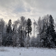 Дом Парк Север, Московская область