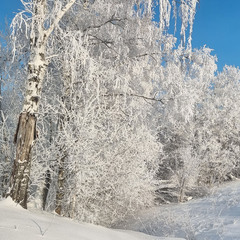 Дом Парк Север, Московская область