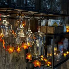 Дом Парк Север, Московская область