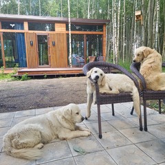 Дом Парк Север, Московская область