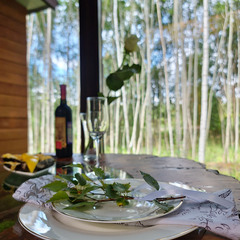 Дом Парк Север, Московская область