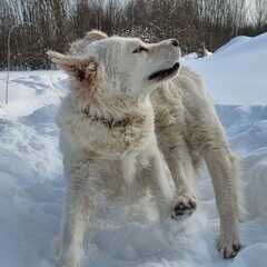 Дом Парк Север, Московская область