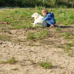 Дом Парк Север, Московская область