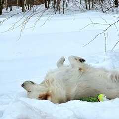 Дом Парк Север, Московская область