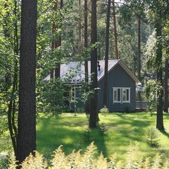 База отдыха Искатель, Ленинградская область