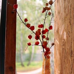 База отдыха Лес и Озеро , Республика Башкортостан