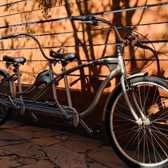 Дом для двоих, Московская область