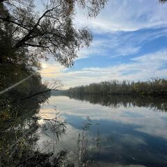 Глэмпинг Дворяновка на Ферме Пара Альпак, Самарская область