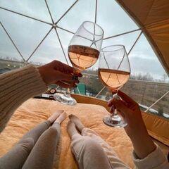 Глэмпинг Дворяновка на Ферме Пара Альпак, Самарская область