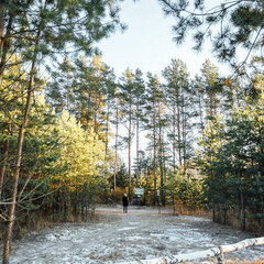 Гостиница Экопарк Поляны, Рязань, Рязанская область