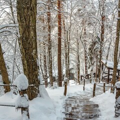 Коттеджный комплекс Sabai Family Resort, Московская область