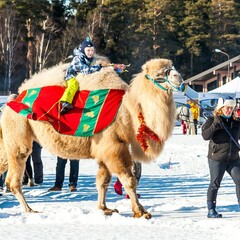 Коттеджный комплекс Sabai Family Resort, Московская область