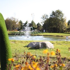 Гостевой дом Ruza Family Park, Московская область