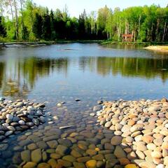 Гостевой дом Ruza Family Park, Московская область