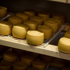 Гостевой дом Ruza Family Park, Московская область